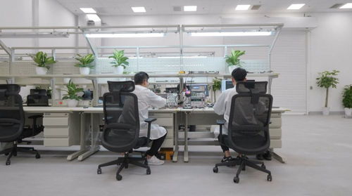 全年近50萬輛 上海超級(jí)工廠如何為特斯拉全球交付量貢獻(xiàn)半壁江山